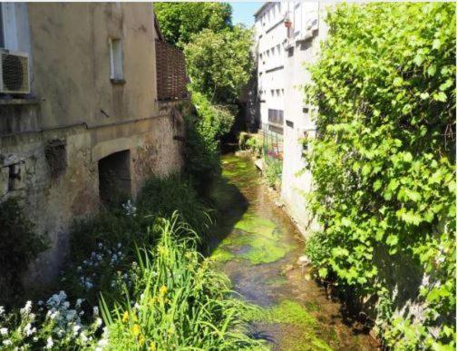 Le Gite Entre Val Et Rose Provins Exteriér fotografie
